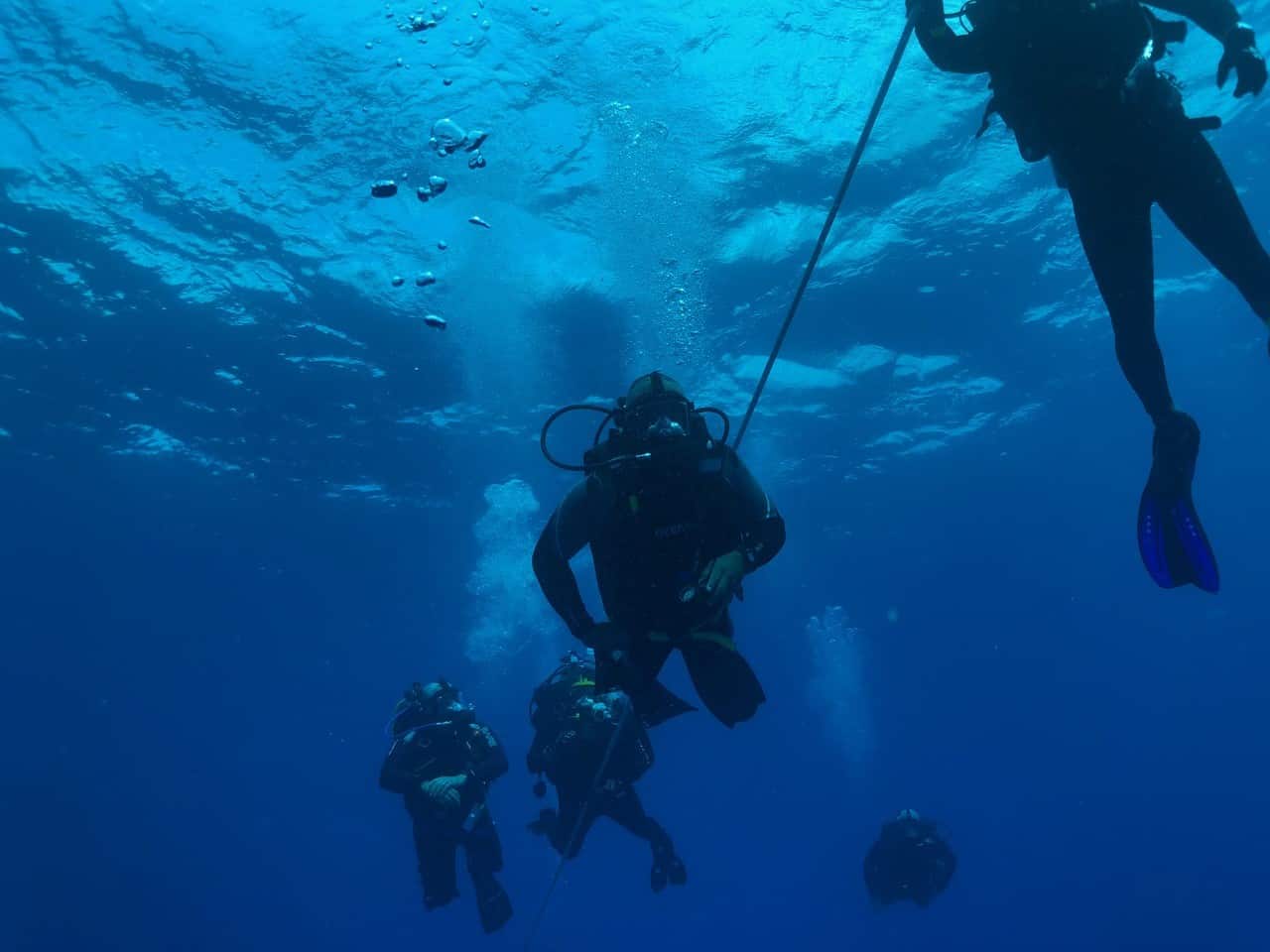 dive rescue international dive article