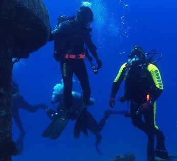 public safety diver survival, Public Safety Diver